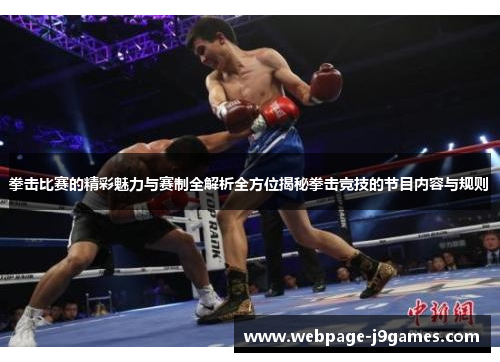 拳击比赛的精彩魅力与赛制全解析全方位揭秘拳击竞技的节目内容与规则