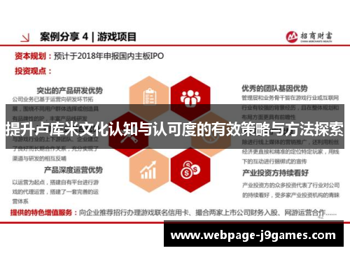 提升卢库米文化认知与认可度的有效策略与方法探索