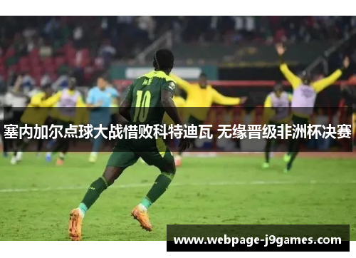 塞内加尔点球大战惜败科特迪瓦 无缘晋级非洲杯决赛